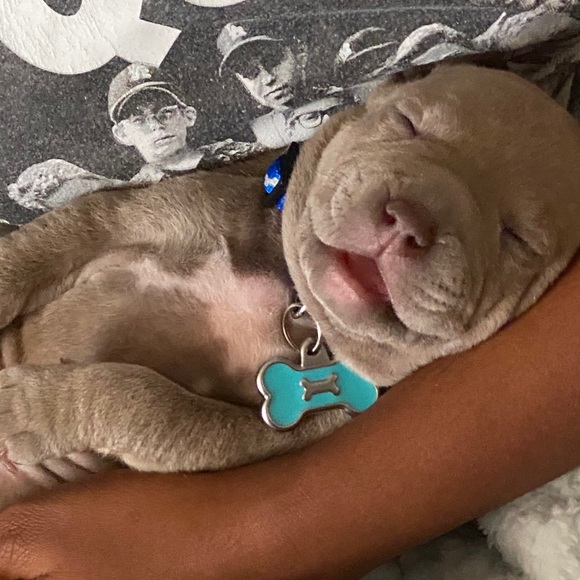 Meet your Posher, Corey - Picture 1 of 1